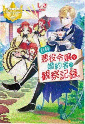 日本动画电影夏日回声海报