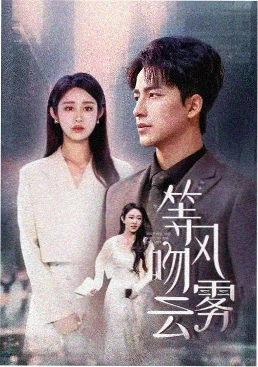 韩国悬疑剧汉江以北